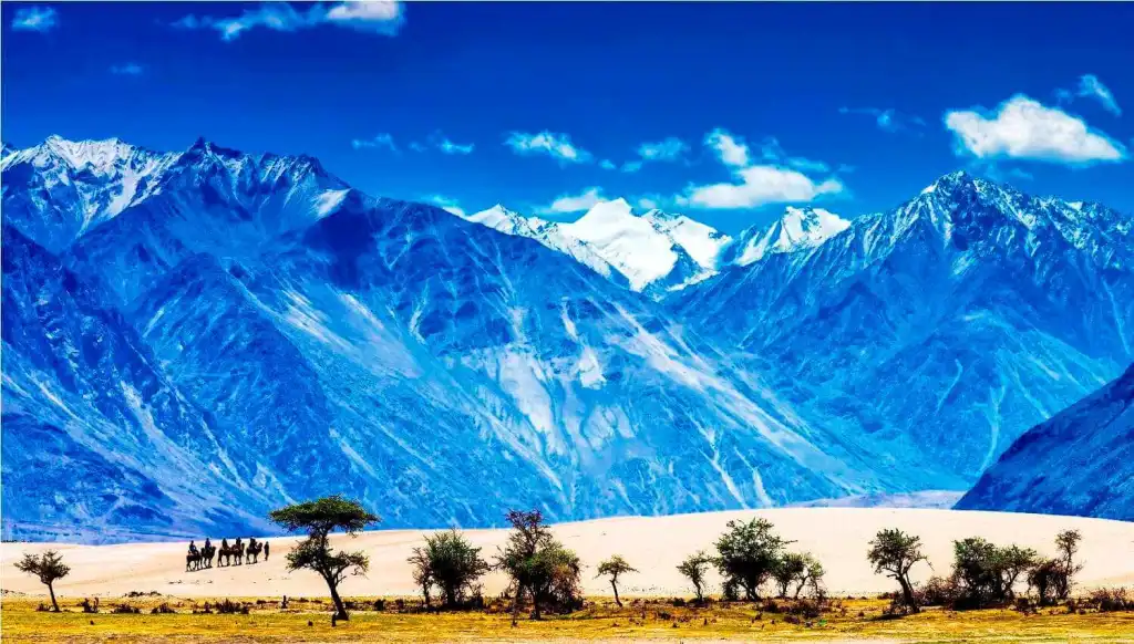 Nubra Valley, Ladakh J&K